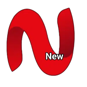 Netmirror logo